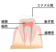 dentistry_img002